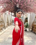 saree for women in festival season and function. - Image 3