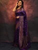 saree for women in festival season and function. - Image 3