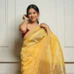 saree for women in festival season and function.