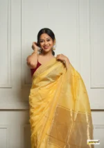 saree for women in festival season and function.