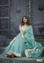 saree for women in festival season and function. - Image 13