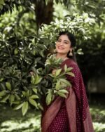 indian saree for women, best collection of sari for festival and wedding. - Image 2