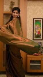 saree for women in festival season and function. - Image 2