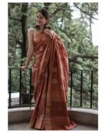 saree for women in festival season and function. - Image 6