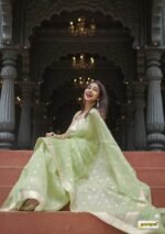 saree for women in festival season and function. - Image 6