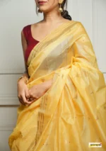 saree for women in festival season and function. - Image 11